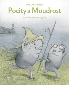 Pocity a moudrost
