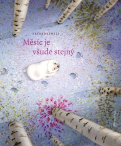 Měsíc je všude stejný